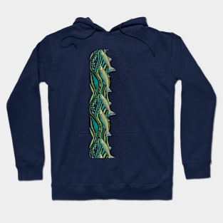 Fishing Enthusiasts Hoodie